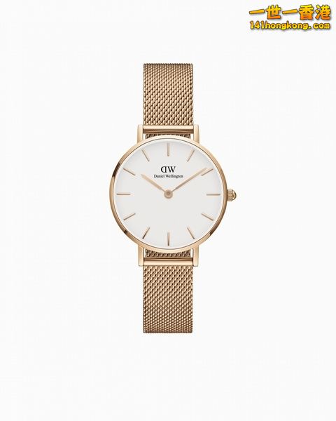 DW06.jpg