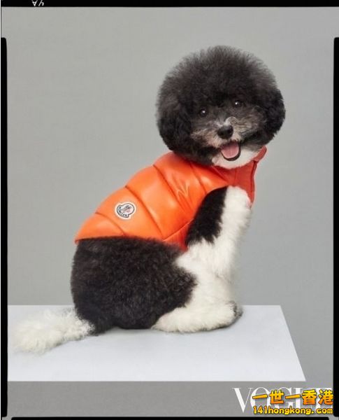 MONCLER1.jpg