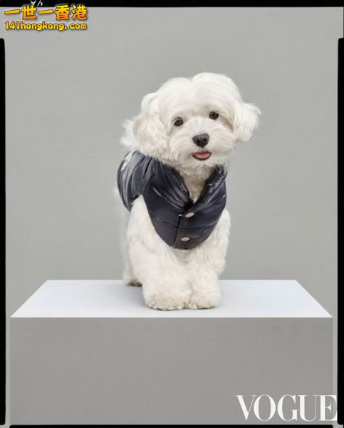 MONCLER2.jpg