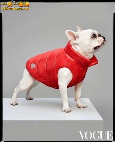 MONCLER3.jpg