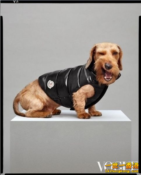 MONCLER4.jpg