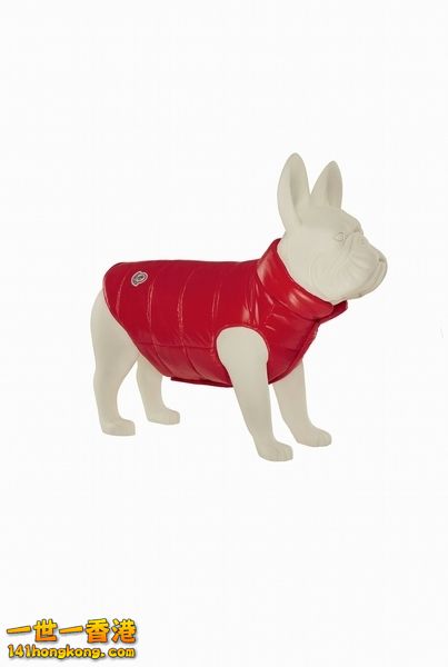 MONCLER6.jpg