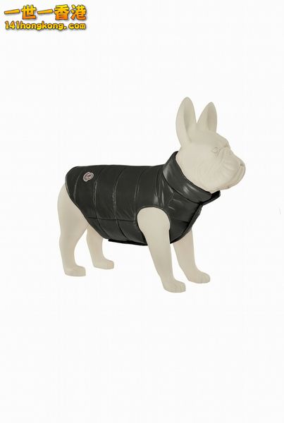 MONCLER7.jpg