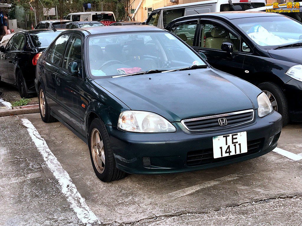 TE1411.JPG