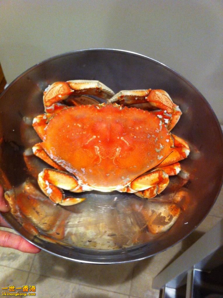 crab1.jpg
