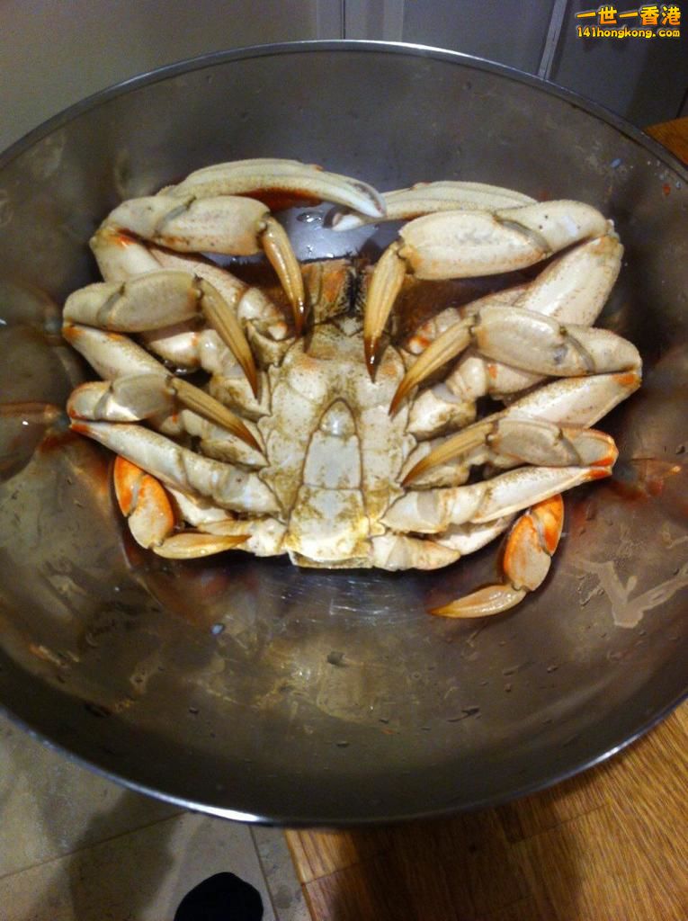 crab2.jpg