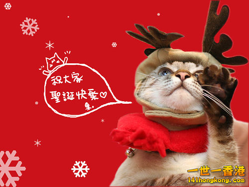 祝大家聖誕快樂! 