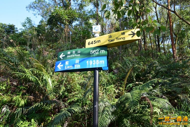 021.JPG