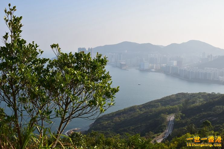 037.JPG