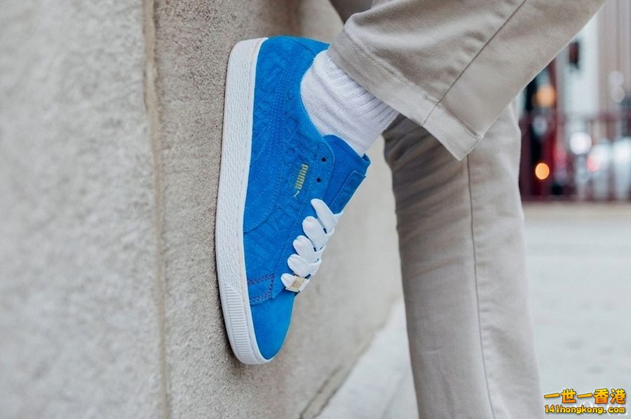 PUMA02.jpg