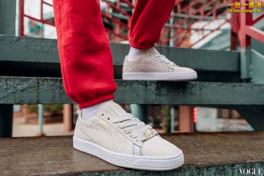 PUMA13.jpg