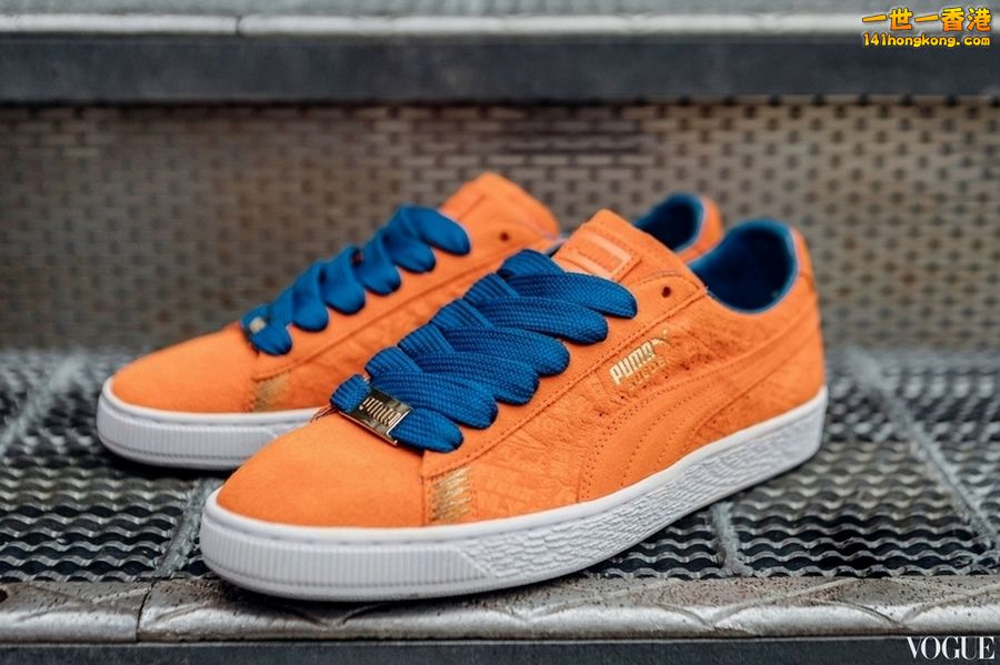 PUMA09.jpg