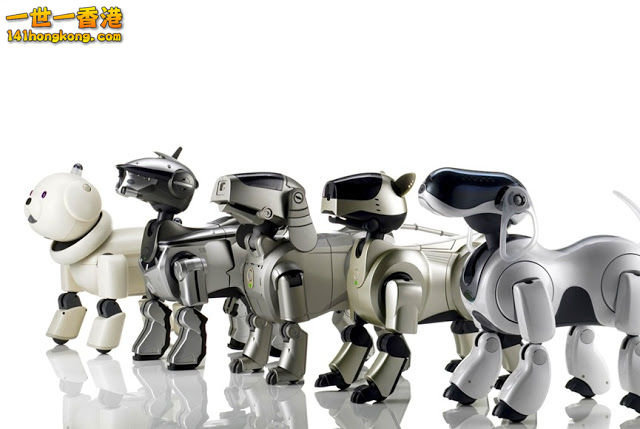 Aibo.jpeg