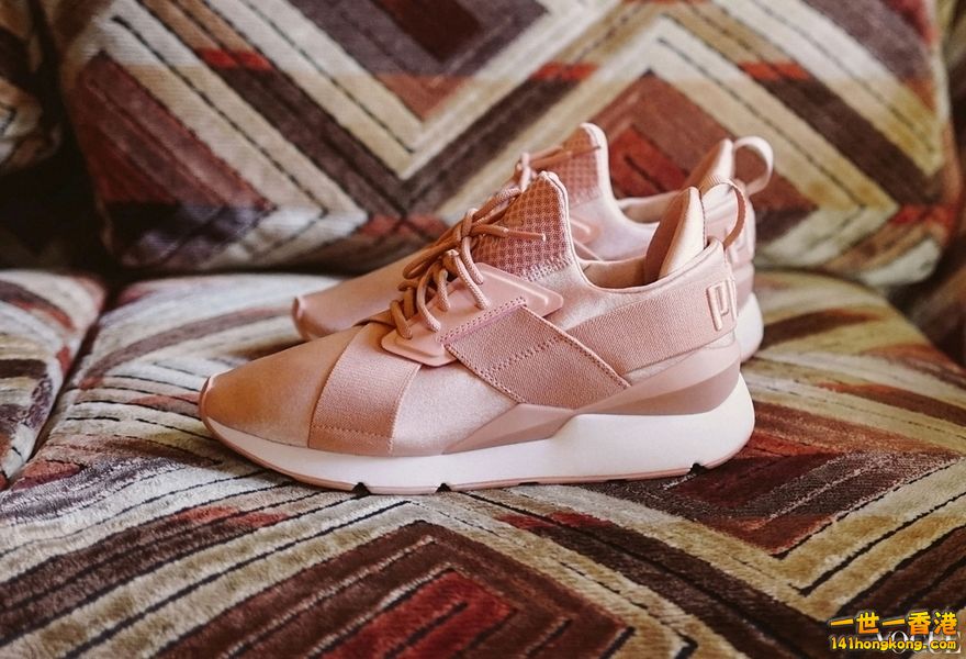 PUMA05.jpg