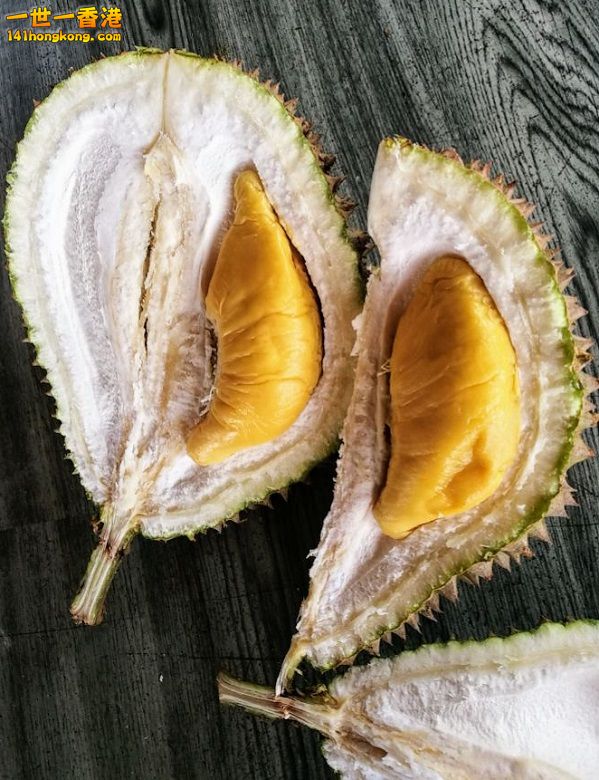 083332gagogmuoruaacmpv (1) 780.jpg