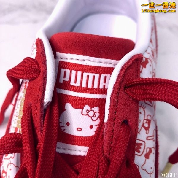 PUMA2.jpg