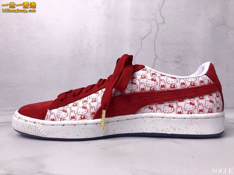 PUMA3.jpg