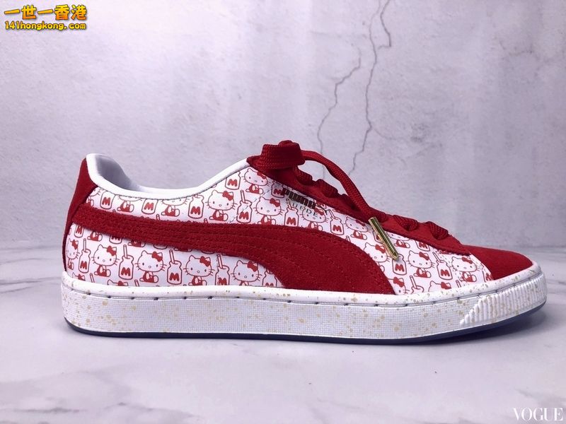 PUMA4.jpg