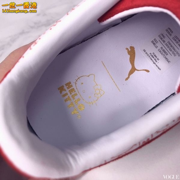 PUMA6.jpg