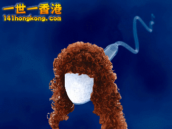 OrangeScratchyAngwantibo-max-1mb.gif