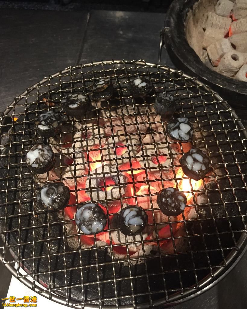 炭火烤肉5.jpg