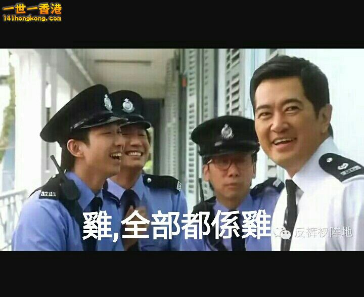 雞，全部都係雞.jpg