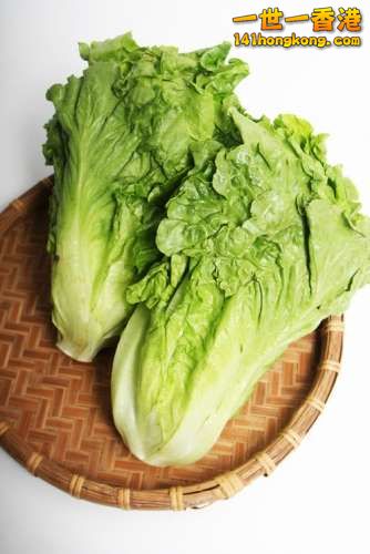 偏方二︰唐生菜 (又名萵苣菜).jpg