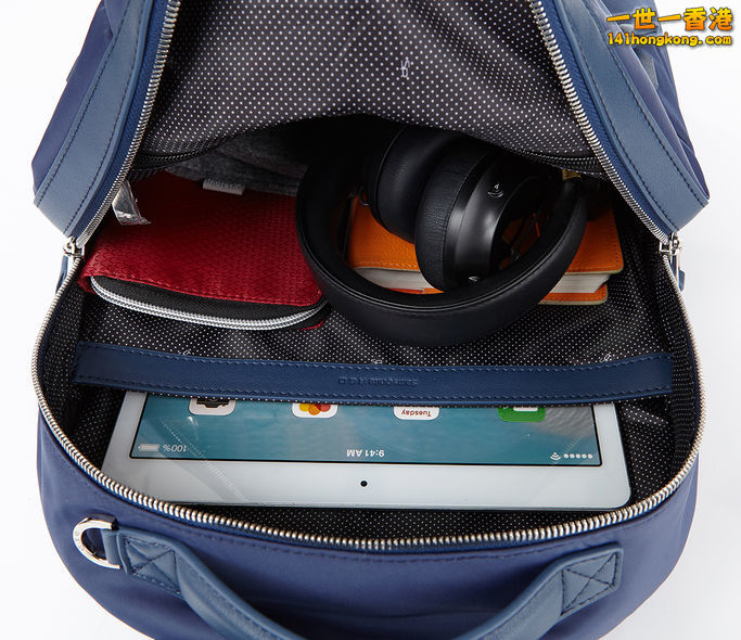Samsonite04a.jpg