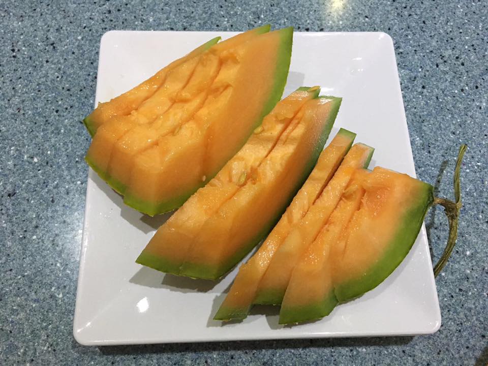 哈密瓜.jpg