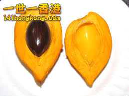 1. 蛋黃果.jpg