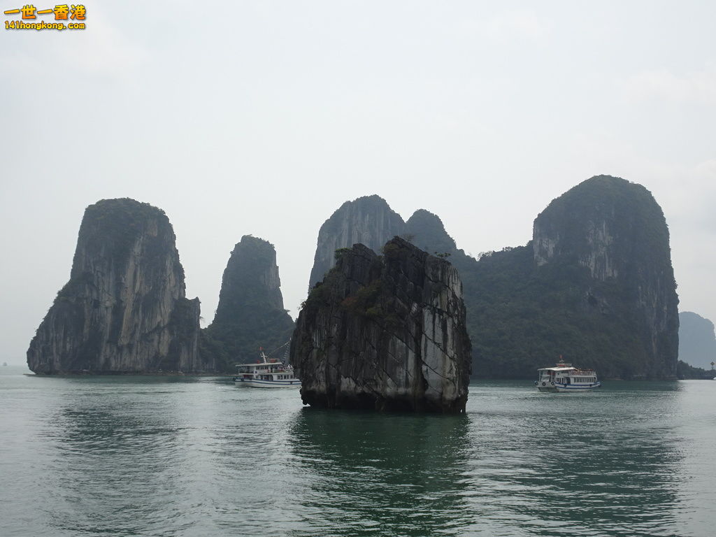 DSC08828.JPG