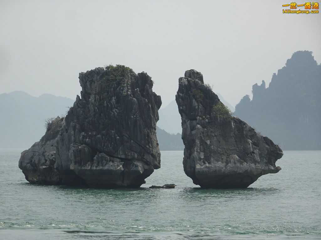 DSC08864.JPG