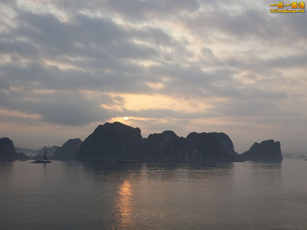 DSC08546.JPG