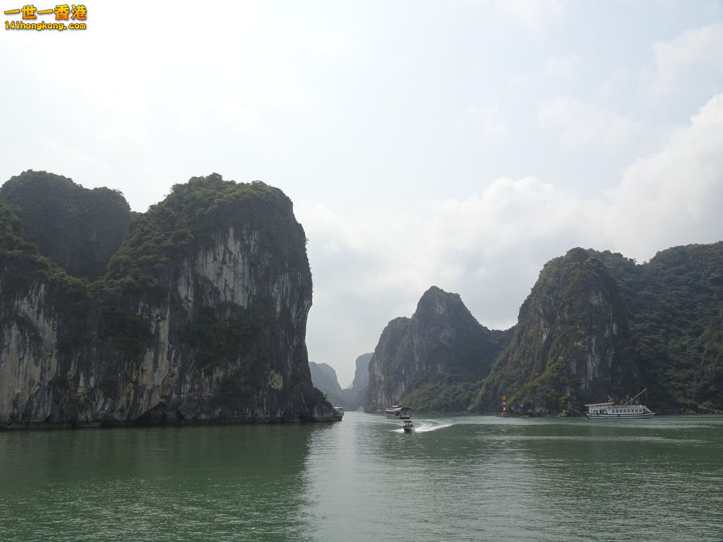 DSC08800.JPG