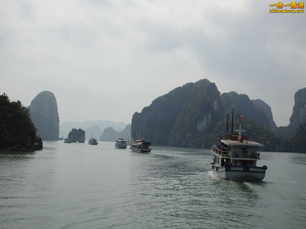 DSC08812.JPG