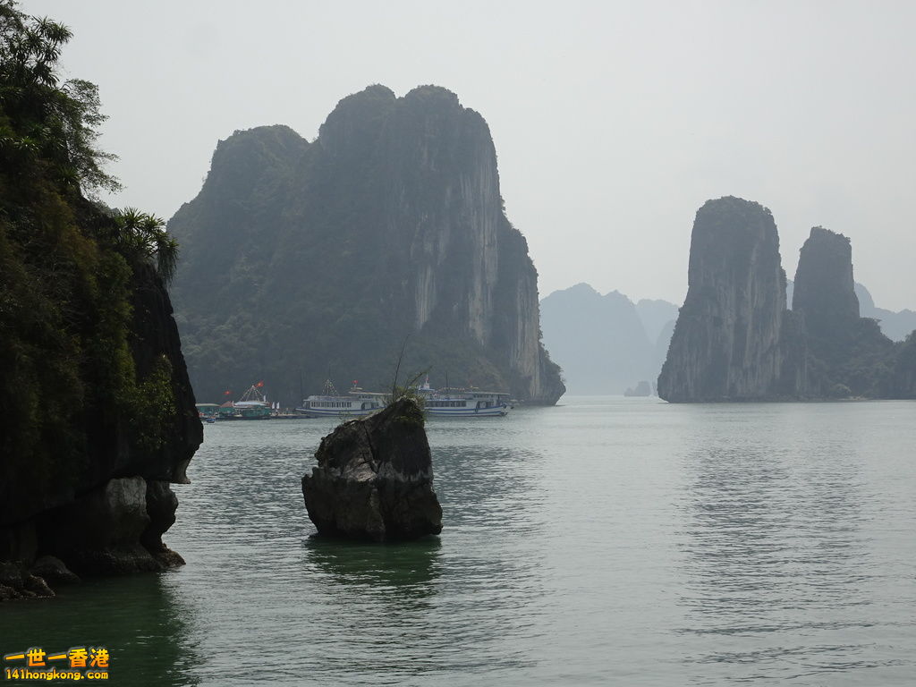 DSC08816.JPG