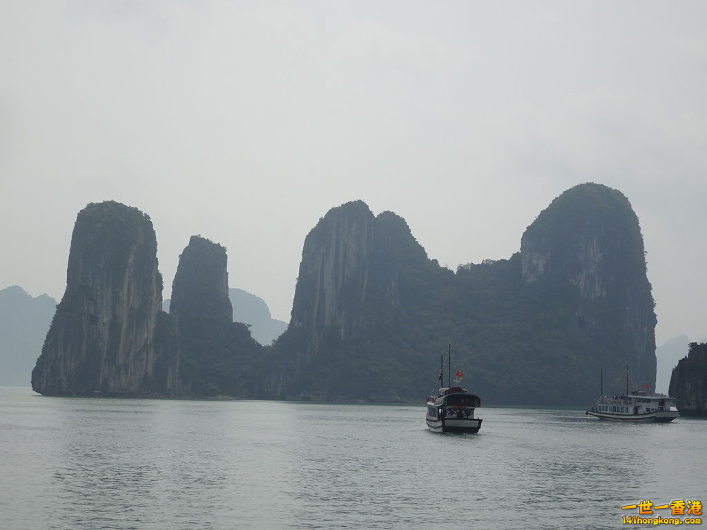 DSC08819.JPG