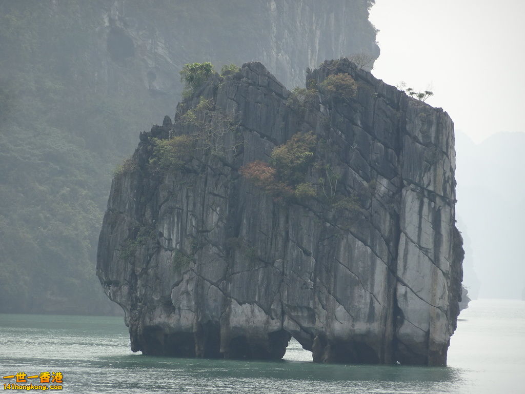 DSC08824.JPG