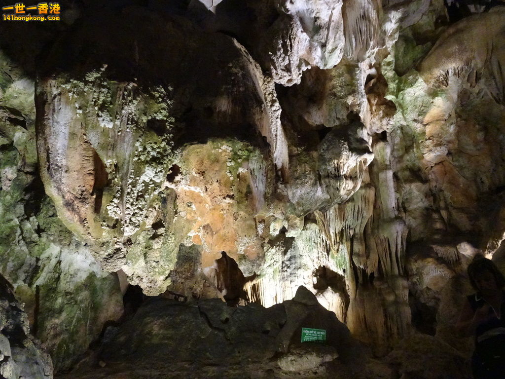 DSC08733.JPG