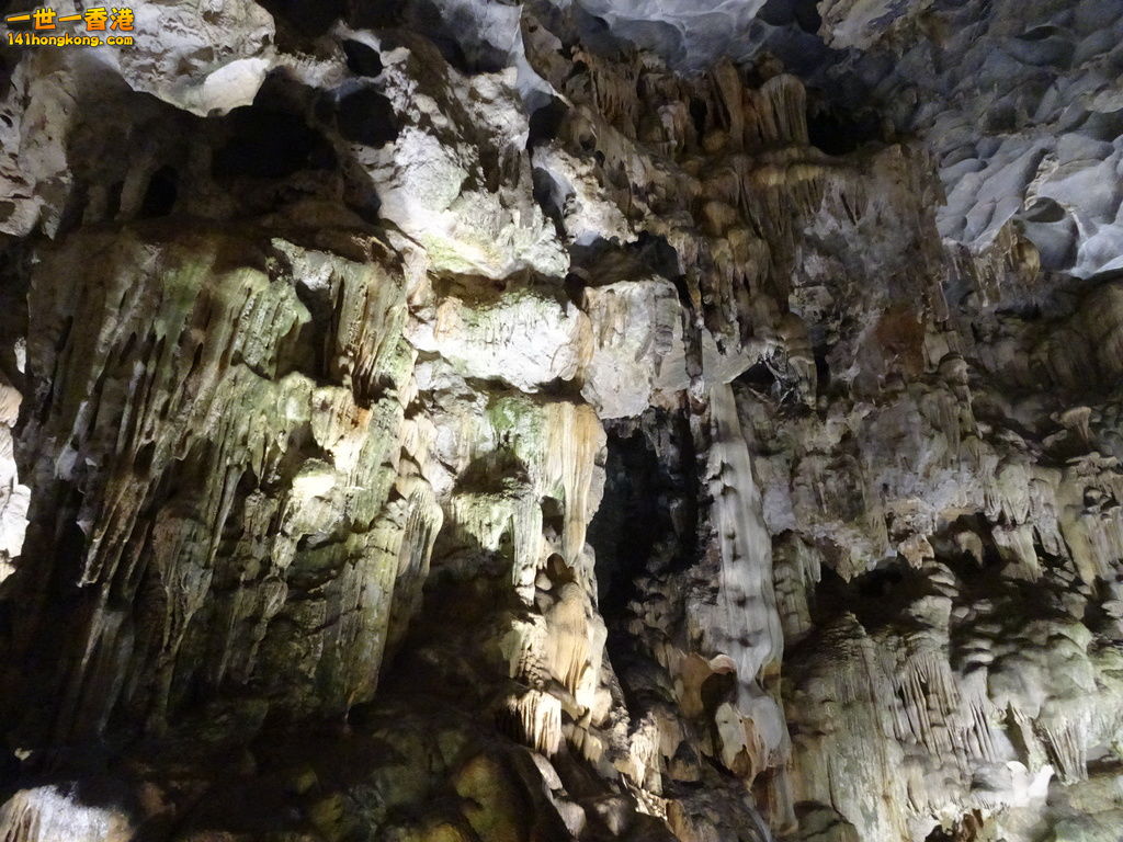 DSC08734.JPG