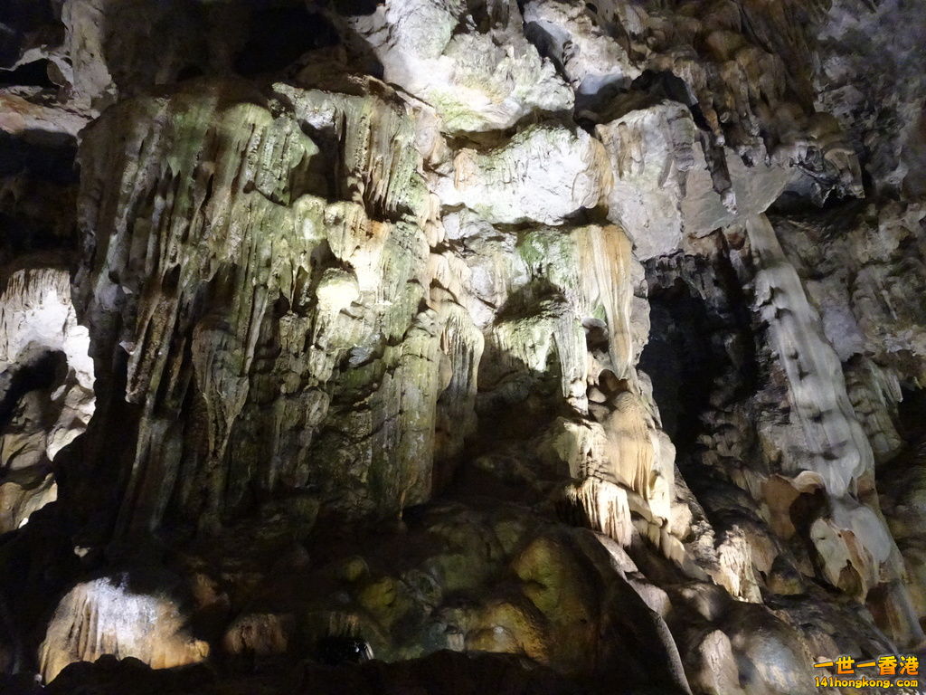 DSC08736.JPG