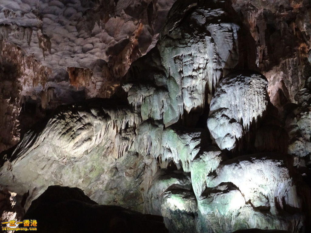 DSC08739.JPG
