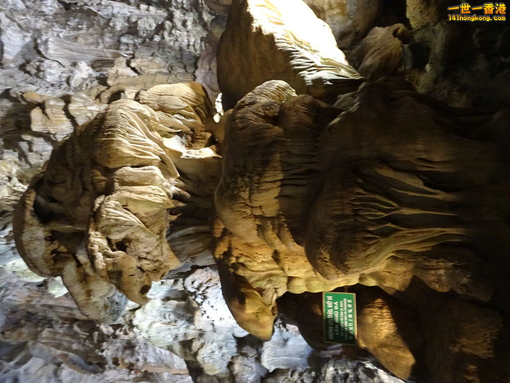 DSC08743.JPG