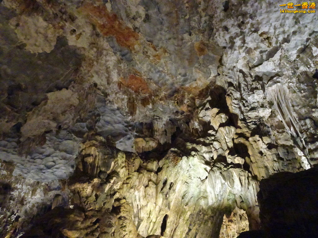 DSC08746.JPG