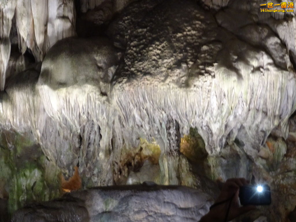 DSC08757.JPG