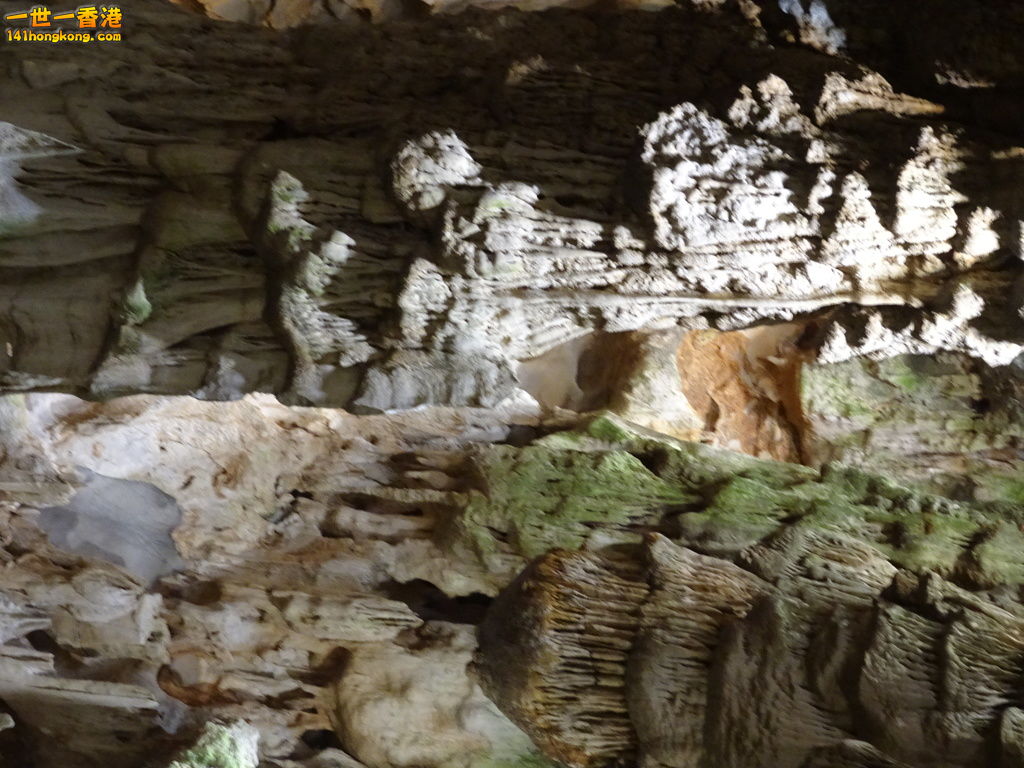 DSC08760.JPG