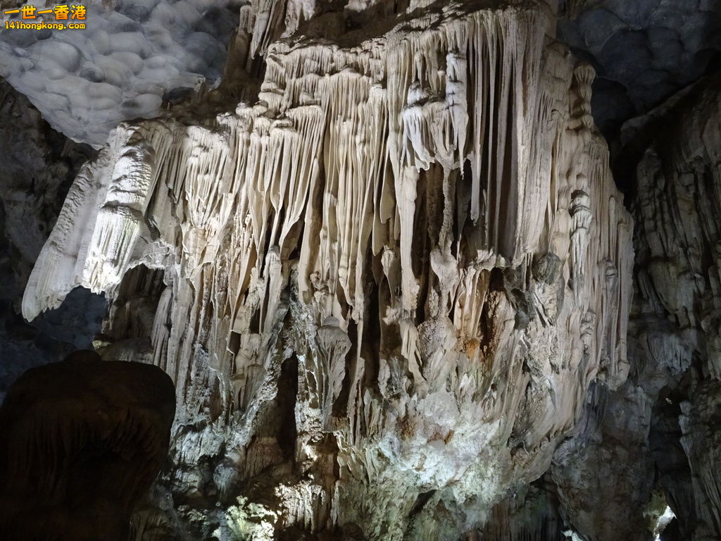 DSC08770.JPG