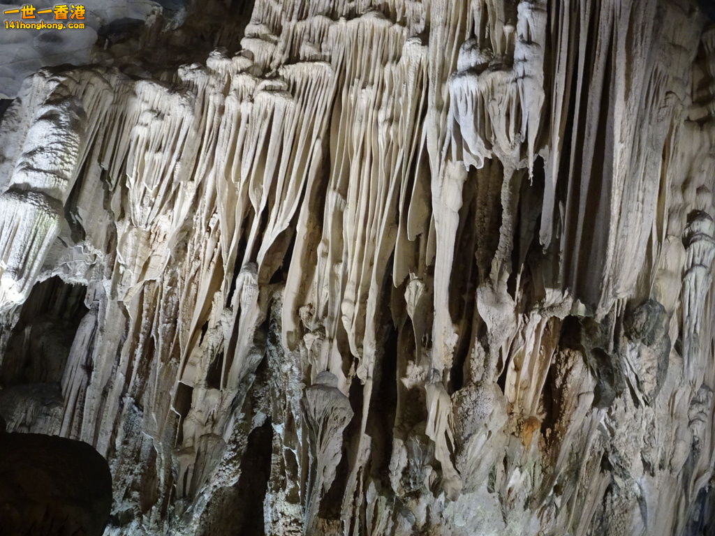 DSC08773.JPG