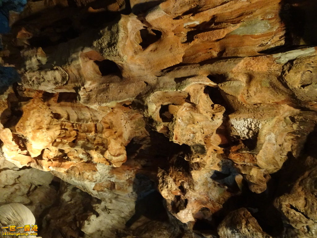 DSC08789.JPG