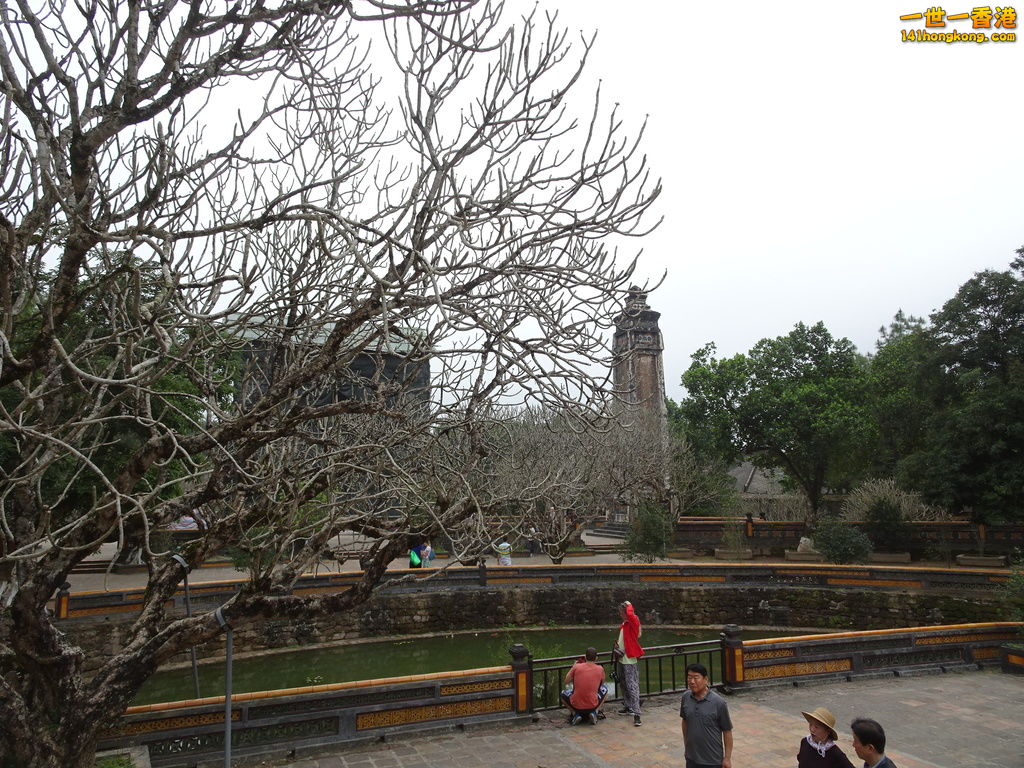 DSC08916.JPG